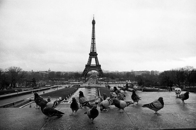 Met de Franse slag 21 VINTAGE Parijs, Eiffeltoren met duiven vanaf de Trocadero