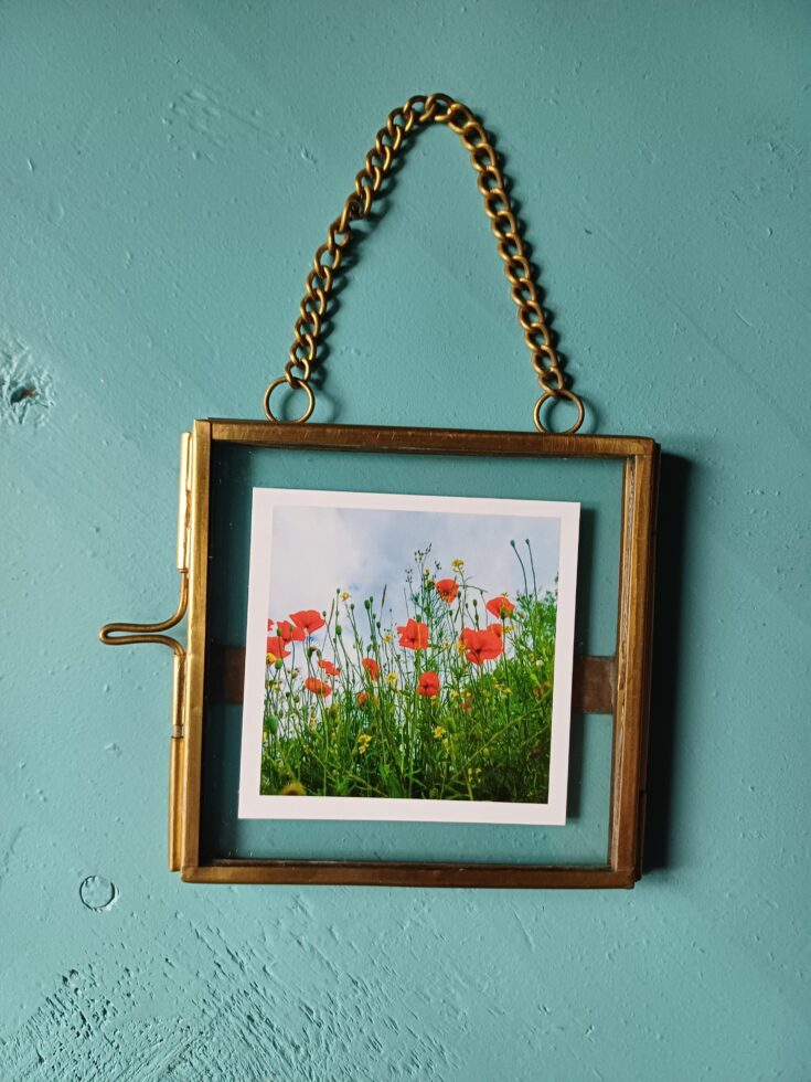 Les petits carrés fotolijstjes 08 Wilde klaprozenveld