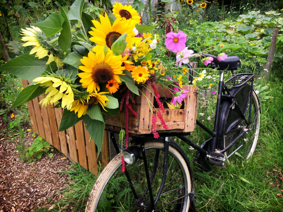 Flora en fauna 17 Pluk de dag, Tuinfiets