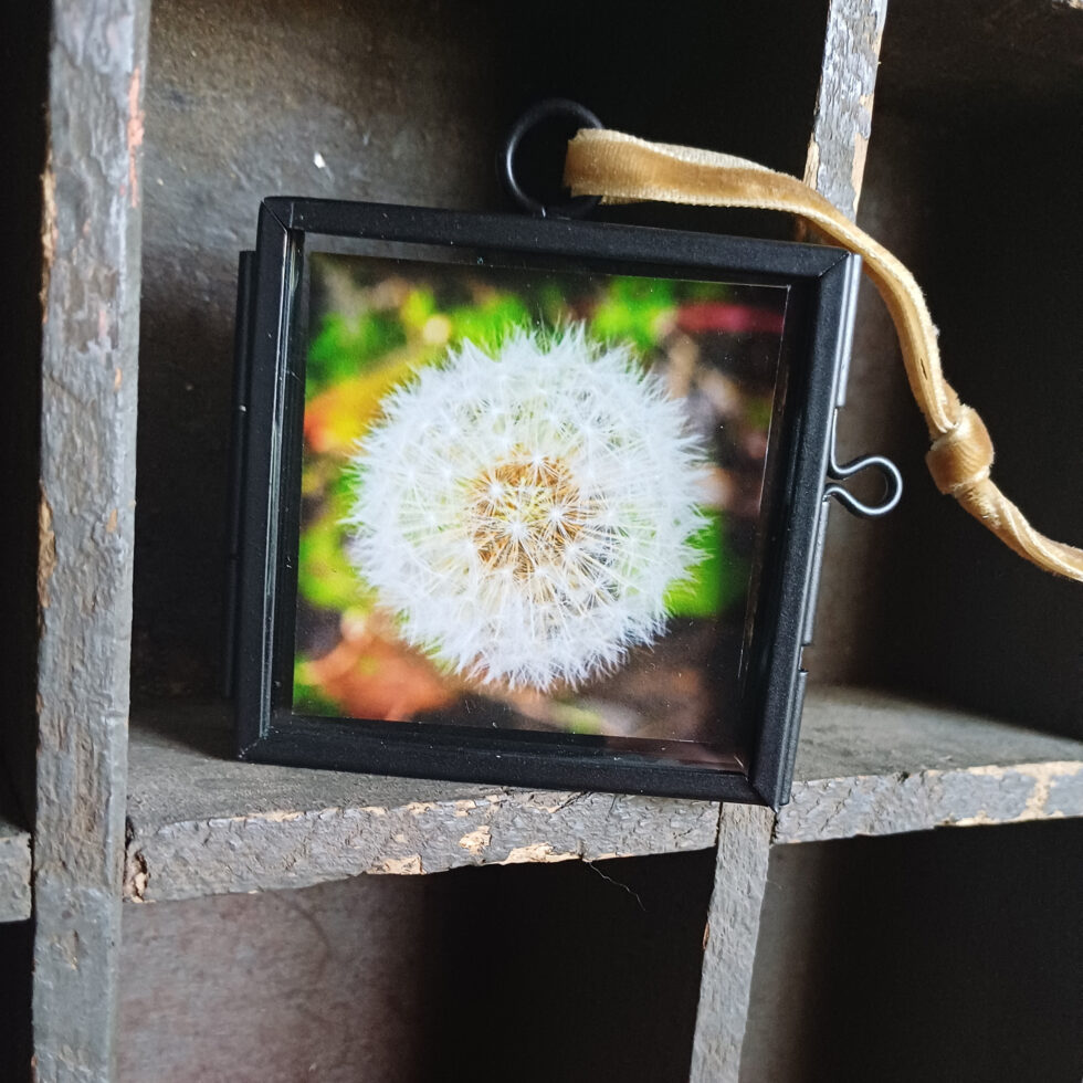 Les petits carrés 08 Paardenbloem doe een wens pluizen 6x6 cm zwart frame